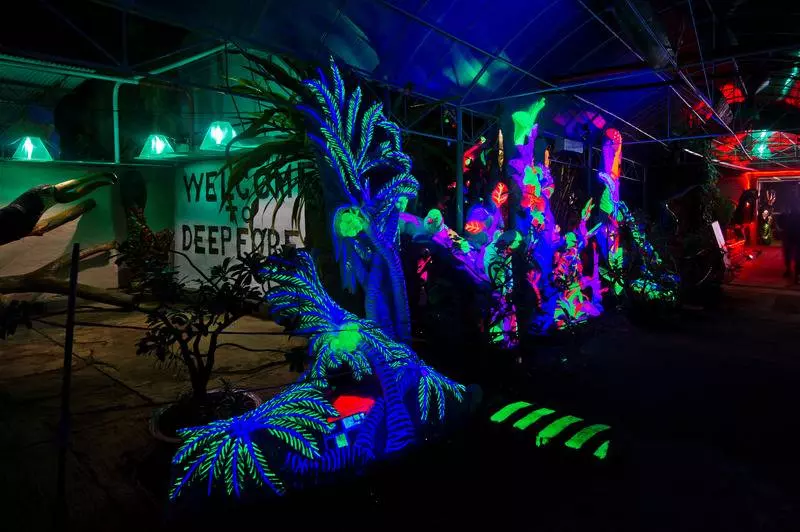 Fotos del hotel Deep Forest Garden:  13