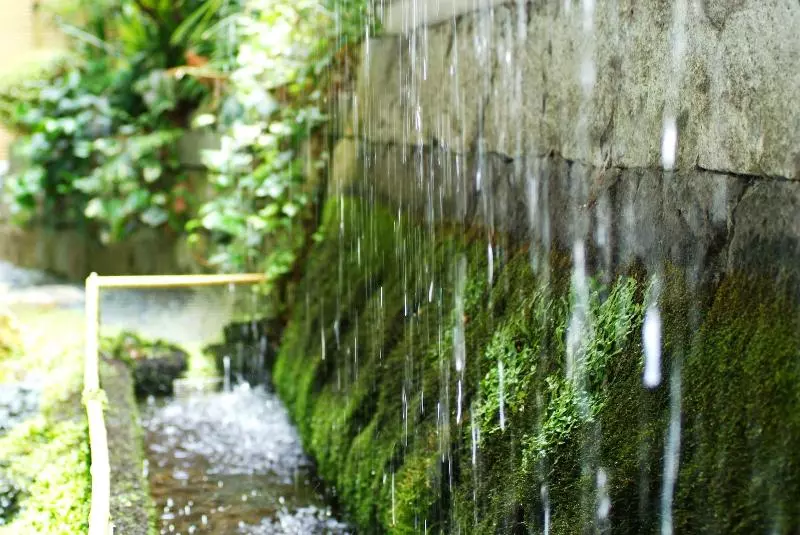 Fotos del hotel Shoenso Hozugawatei:  9