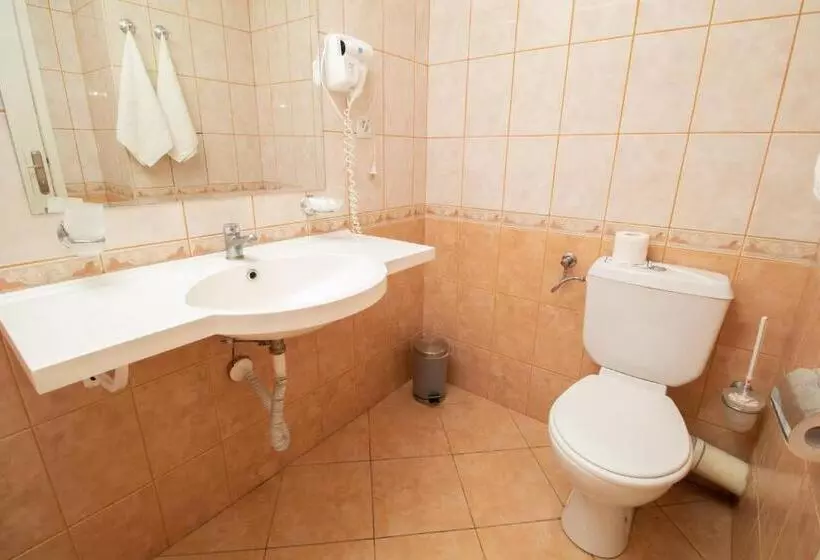 Fotos del hotel Sunny:  7