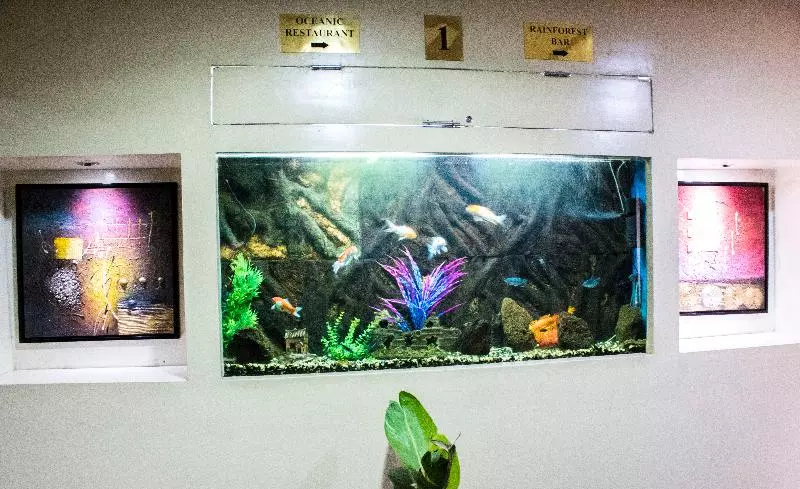 Fotos del hotel The Clarion:  6