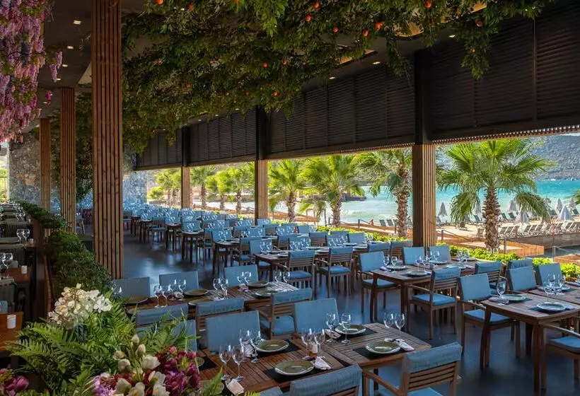 Fotos del hotel Vogue  Supreme Bodrum:  30