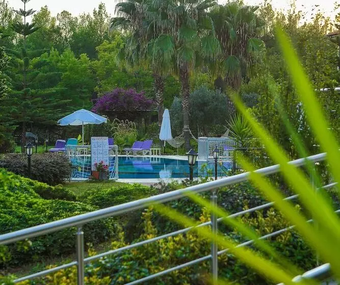 Fotos del hotel Ayka Vital Park:  9