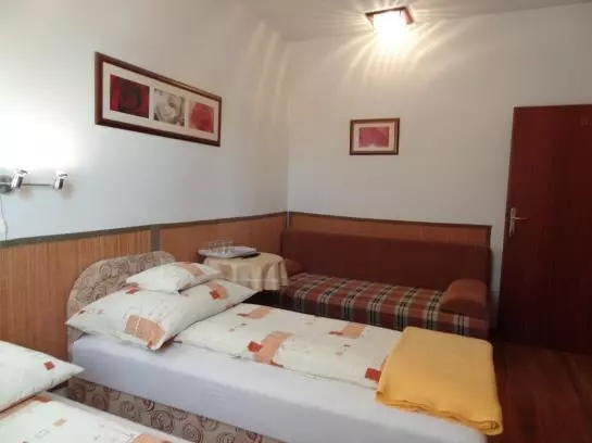 Fotos del hotel Bai Panzió:  23