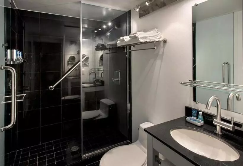 Fotos del hotel Four Points By Sheraton Manhattan Soho Village:  11