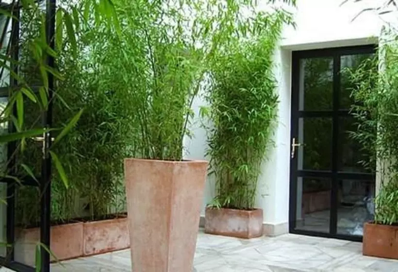 Fotos del hotel Tingis Hôtel:  8