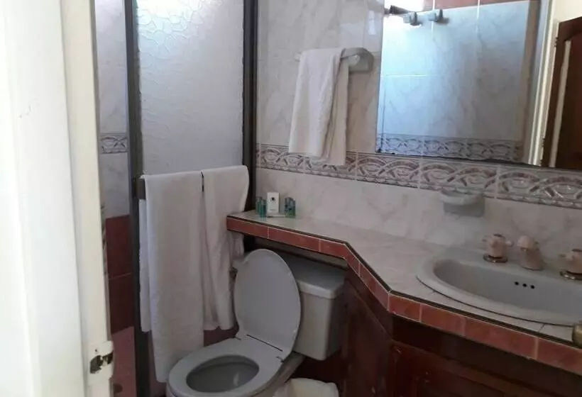 Fotos del hotel Gran  Cali:  13