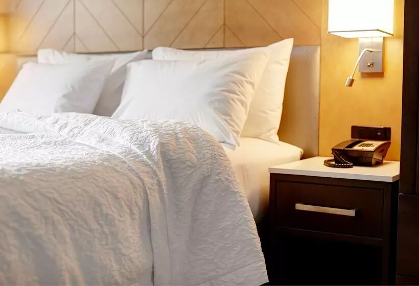 Fotos del hotel Hampton Inn Brooklyn Downtown:  18