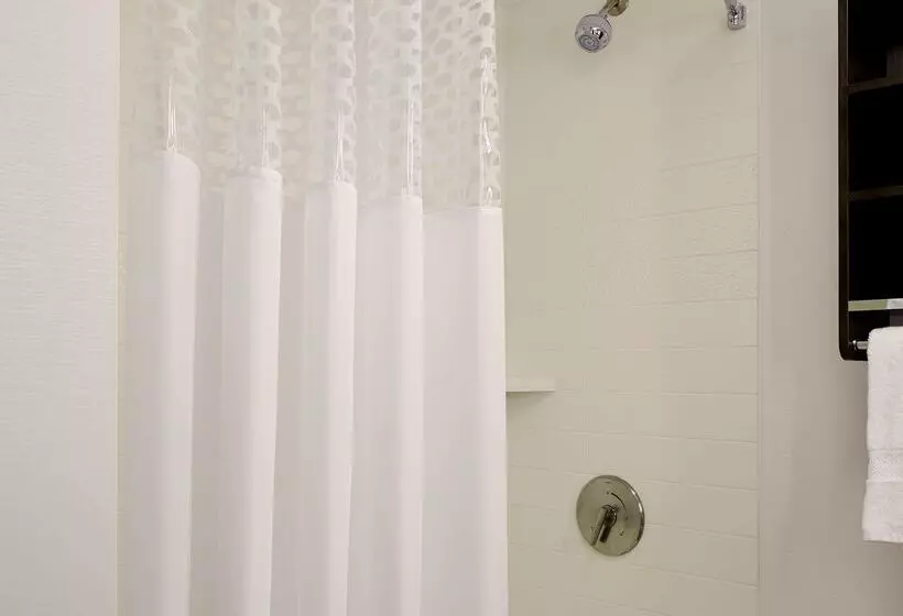 Fotos del hotel Hampton Inn Brooklyn Downtown:  6