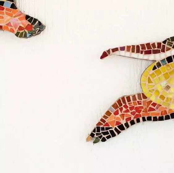 Fotos del hotel Hosteria Mar Y Sol:  10