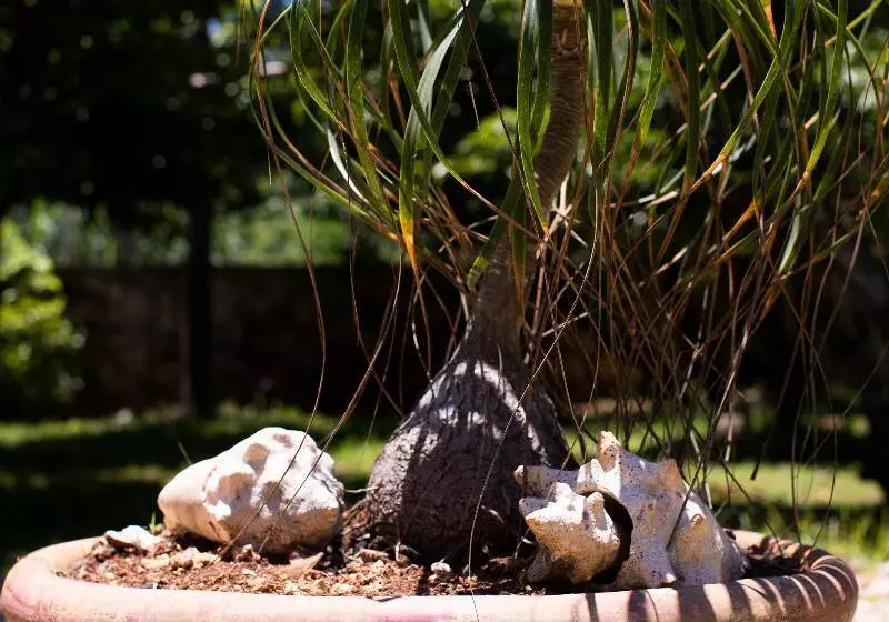 Fotos del hotel Hosteria Mar Y Sol:  14