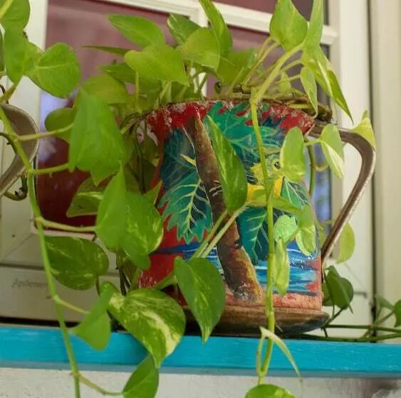 Fotos del hotel Hosteria Mar Y Sol:  24