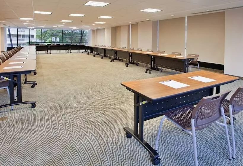 Fotos del hotel Holiday Inn Panama Distrito Financiero, An Ihg:  14