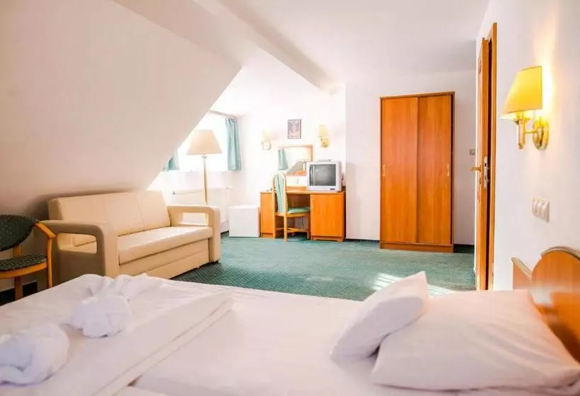 Fotos del hotel Spindlerova Bouda:  10