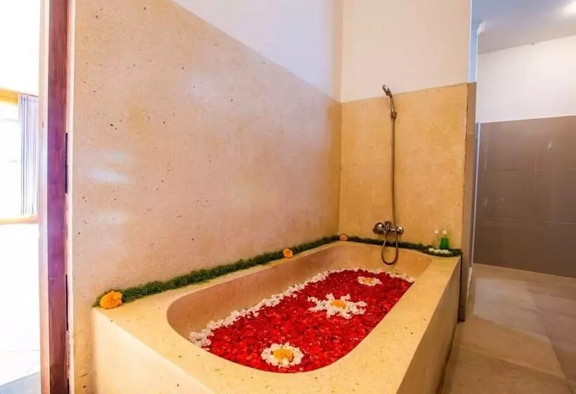 Fotos del hotel Villa Mandi:  12