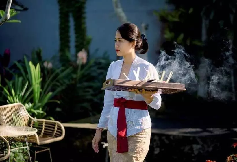 Fotos del hotel Villa Mandi:  3