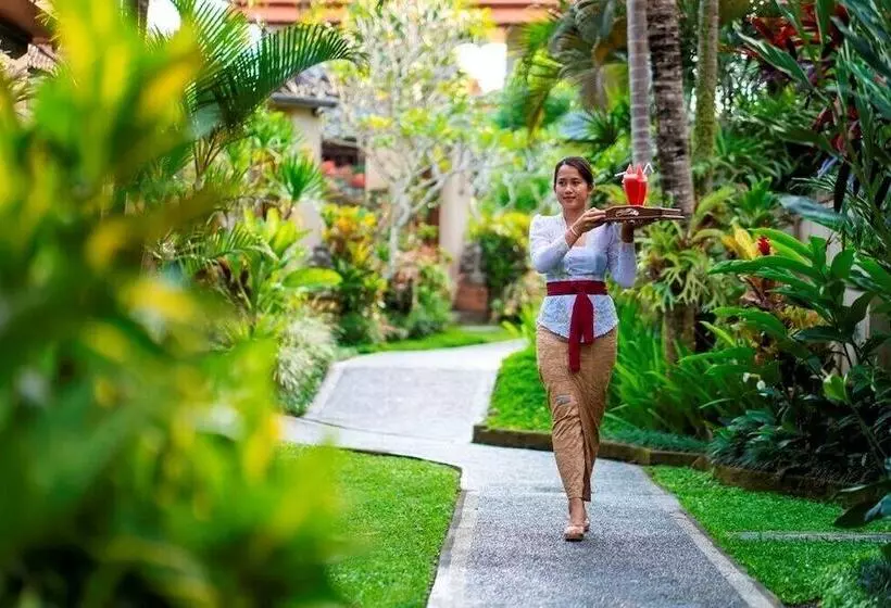 Fotos del hotel Villa Mandi:  20