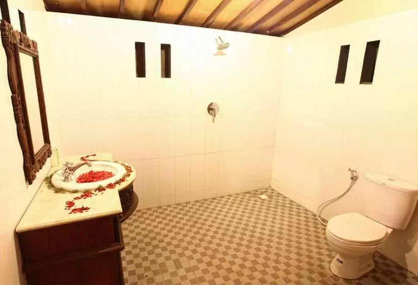 Fotos del hotel Villa Mandi:  25