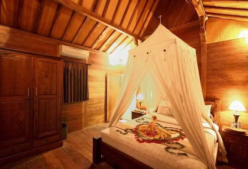 Fotos del hotel Villa Mandi:  18