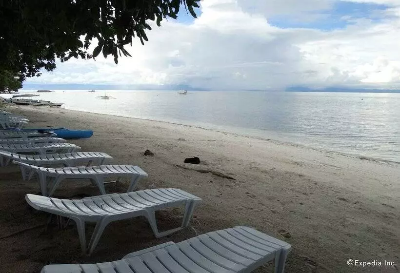 Fotos del hotel Momo Beach House:  5