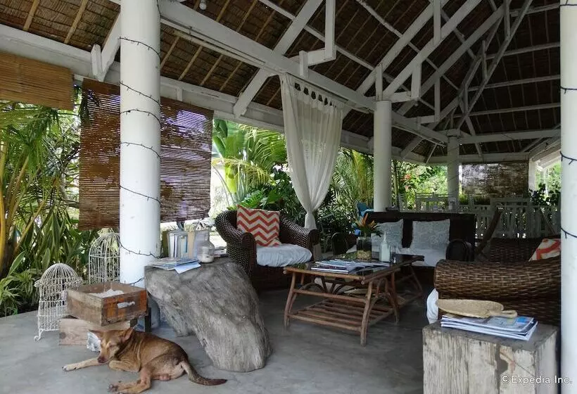 Fotos del hotel Momo Beach House:  8