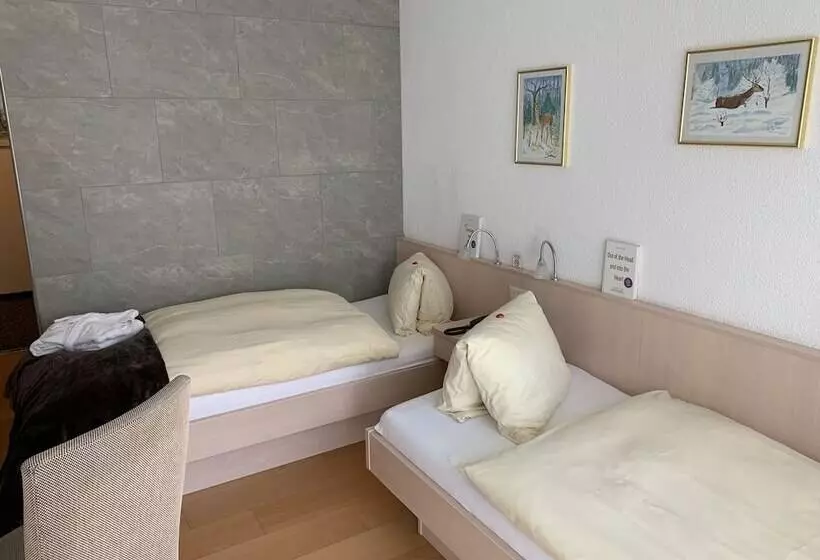 Fotos del hotel Belmont:  15