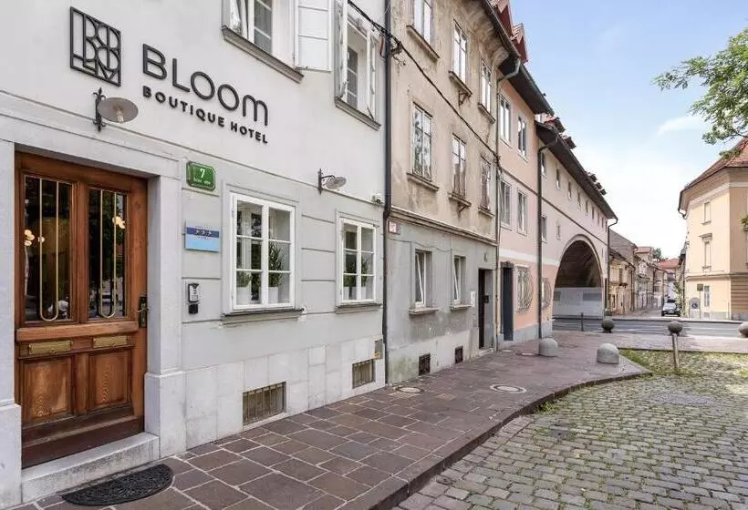 Fotos del hotel Adora:  18