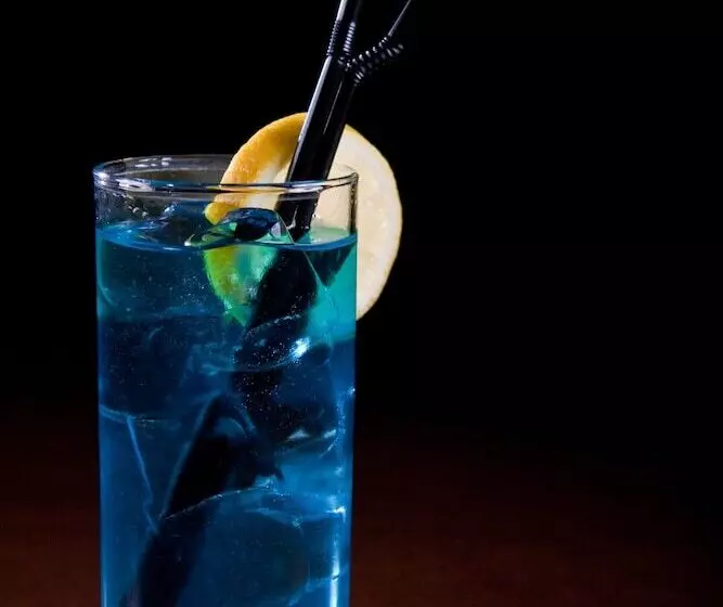 Fotos del hotel Helan Family & Garden:  12