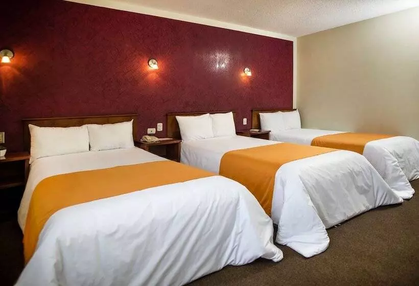 Fotos del hotel Maison Du Soleil:  19