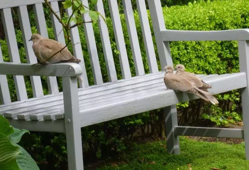 Fotos del hotel Alegria:  22