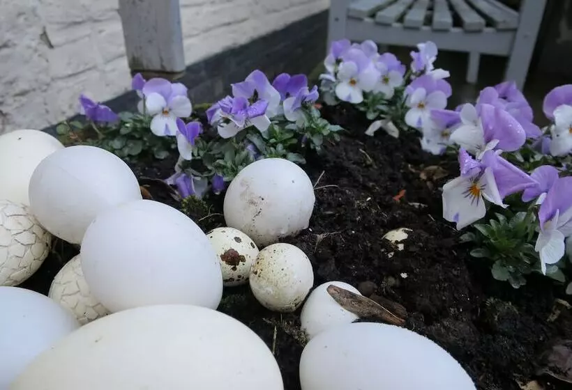 Fotos del hotel Alegria:  20