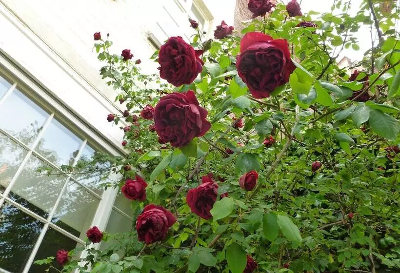 Fotos del hotel Alegria:  24