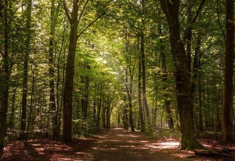 Fotos del hotel Business & More Hamburg:  13