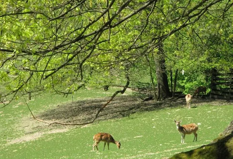 Fotos del hotel Business & More Hamburg:  7