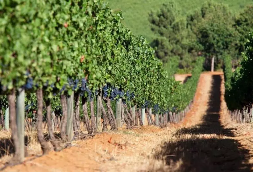 Fotos del hotel Delaire Graff Lodges And Spa:  18