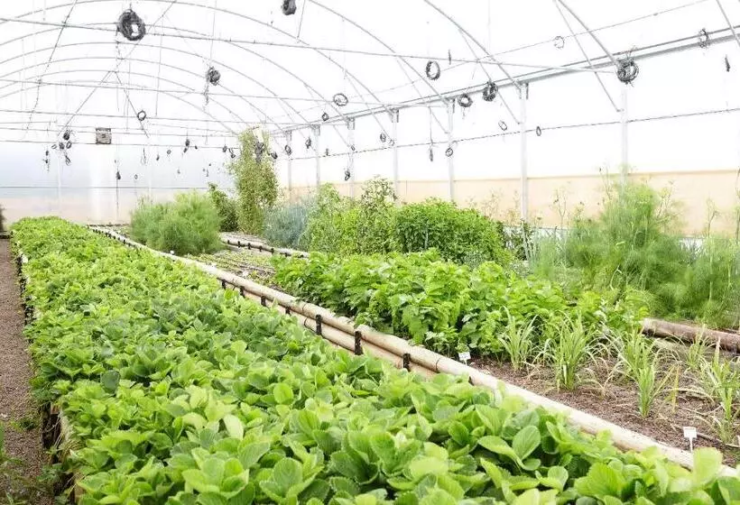 Fotos del hotel Delaire Graff Lodges And Spa:  14