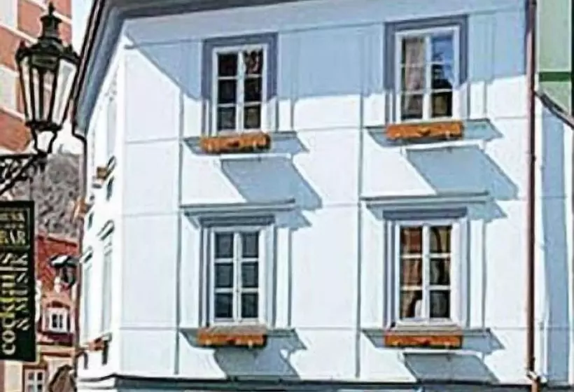 Fotos del hotel Leonardo:  12