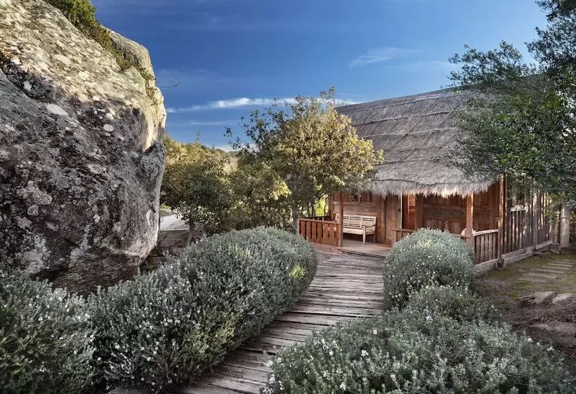 Fotos del hotel Petra Segreta Resort & Spa:  6