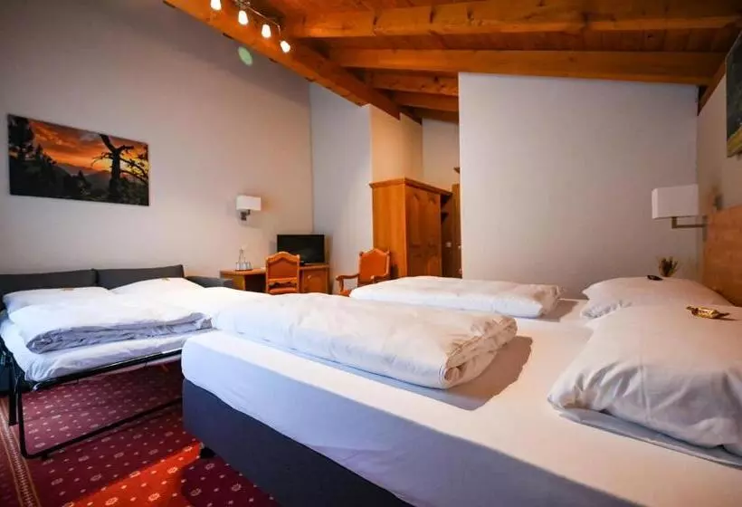 Fotos del hotel Sonnwendhof Engelberg:  17