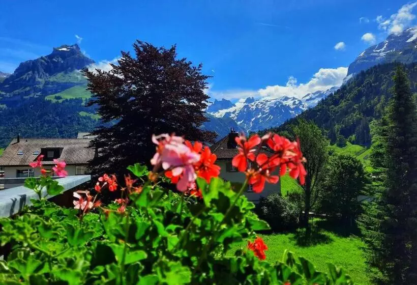 Fotos del hotel Sonnwendhof Engelberg:  9