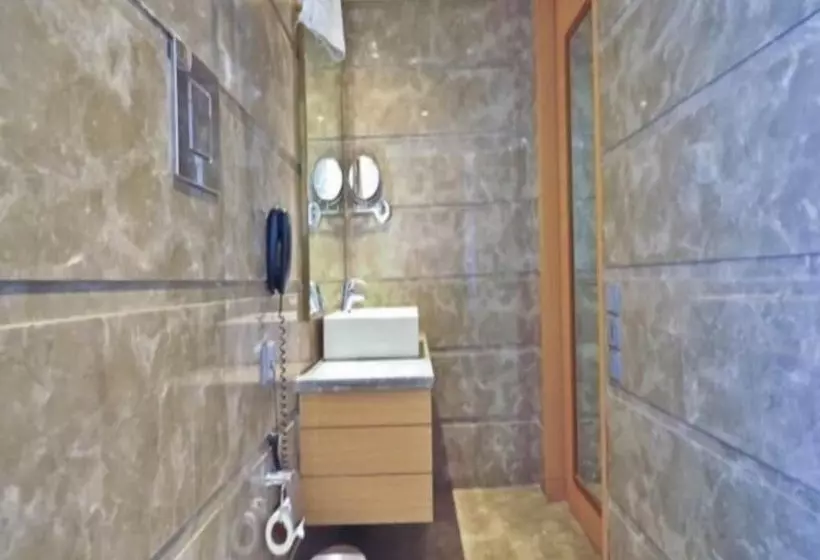 Fotos del hotel Middleton Inn:  15