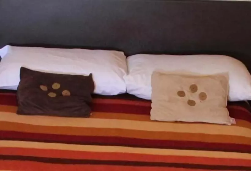 Fotos del hotel Miramar - La Paz:  23