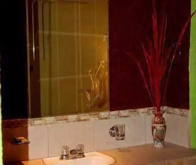 Fotos del hotel Miramar - La Paz:  7