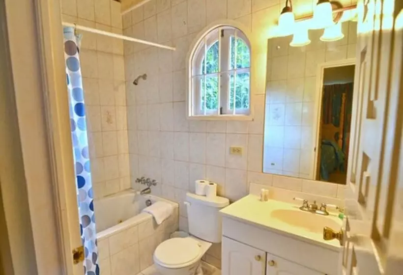 Fotos del hotel Tropical Lagoon Resort:  6