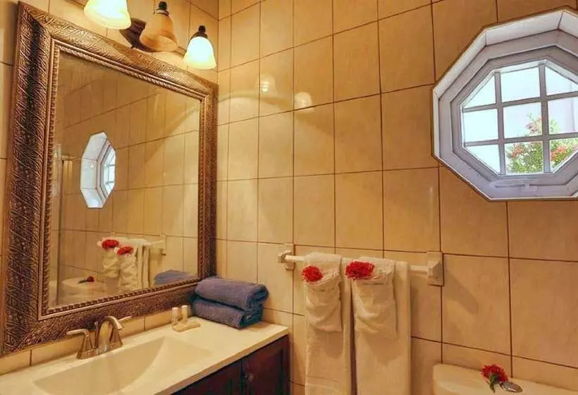 Fotos del hotel Tropical Lagoon Resort:  20