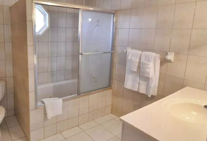 Fotos del hotel Tropical Lagoon Resort:  14