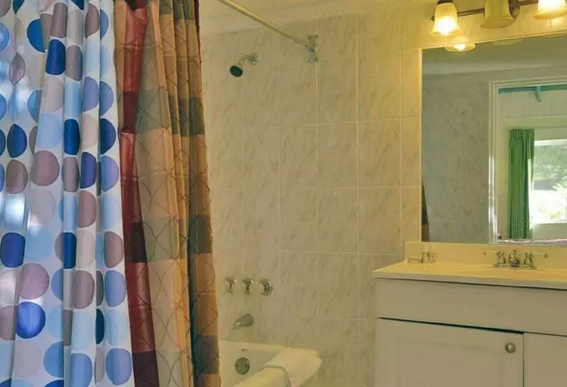 Fotos del hotel Tropical Lagoon Resort:  12