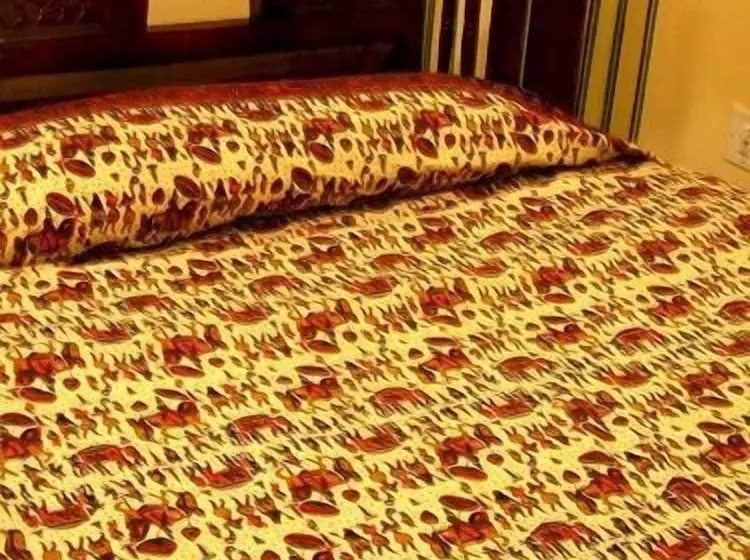 Fotos del hotel Baba Haveli:  24