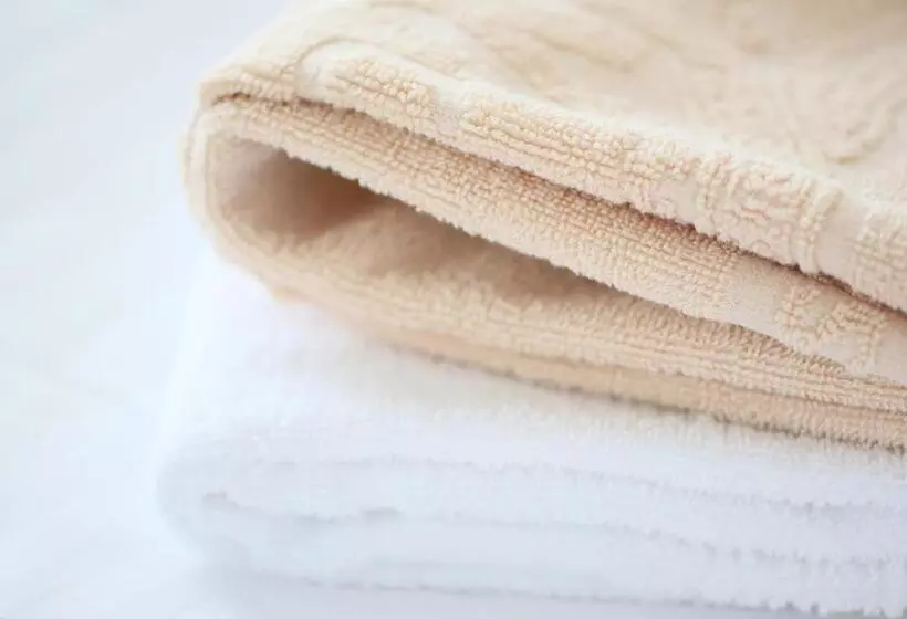 Fotos del hotel Apa  Sapporo Odorikoen:  7