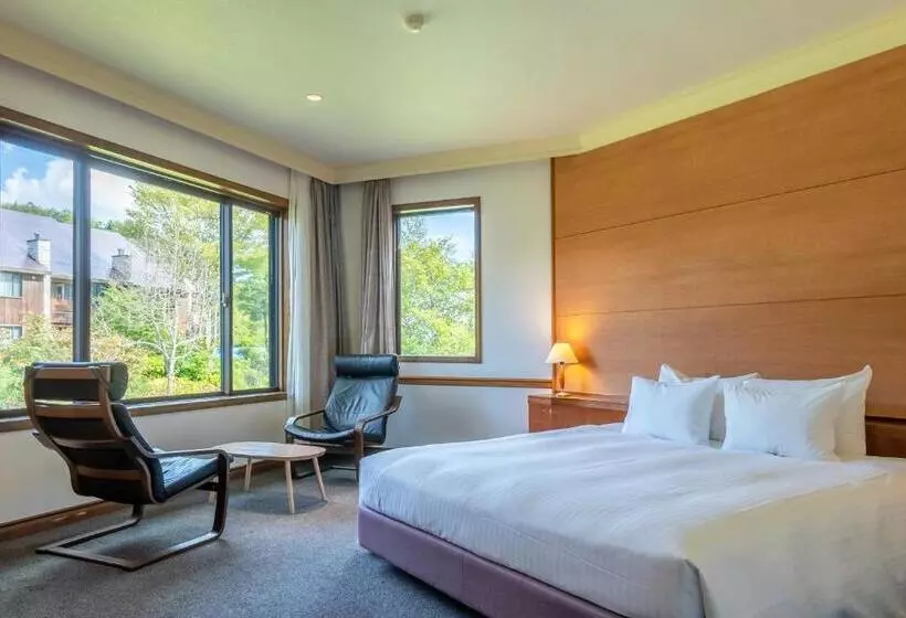 Fotos del hotel Sierra Resort Hakuba:  6