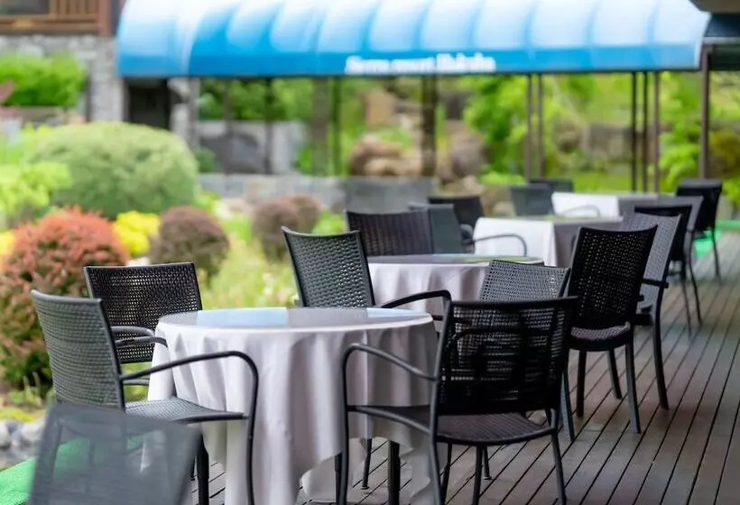 Fotos del hotel Sierra Resort Hakuba:  3